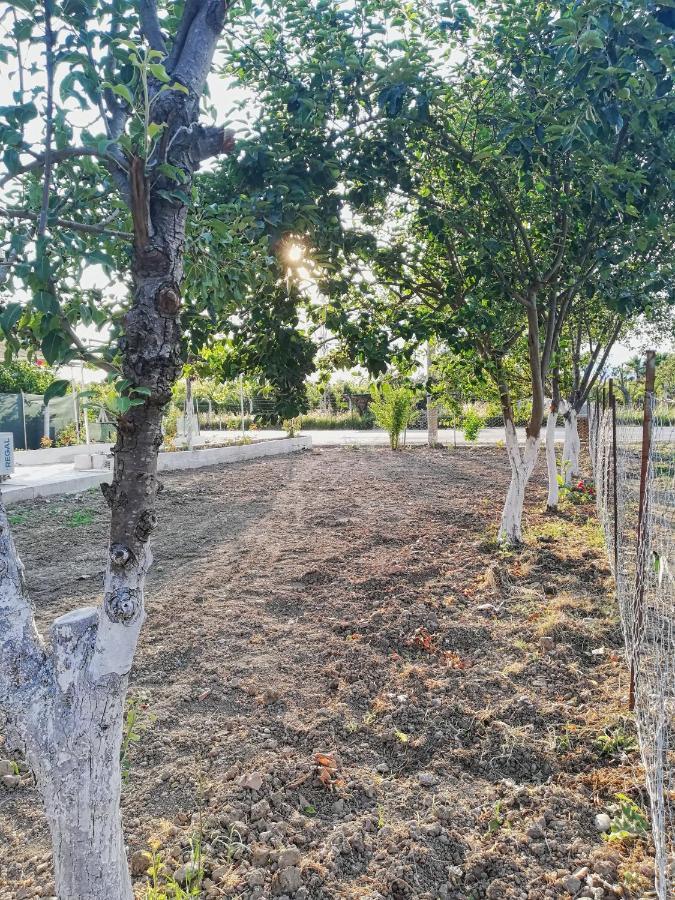 Alibaba Villa Near Airport And Beach Dalaman Exterior foto